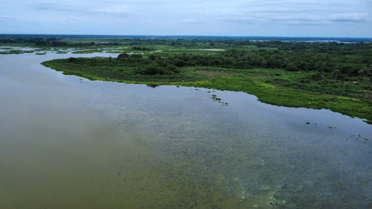 Panoramica Tesca