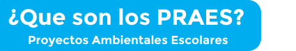 TITULO QUE SON LOS PRAES