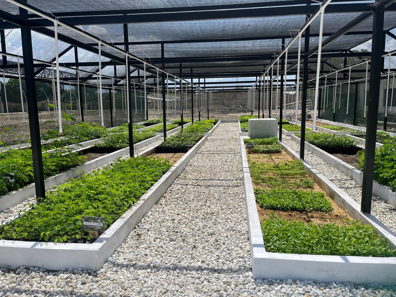 Vivero