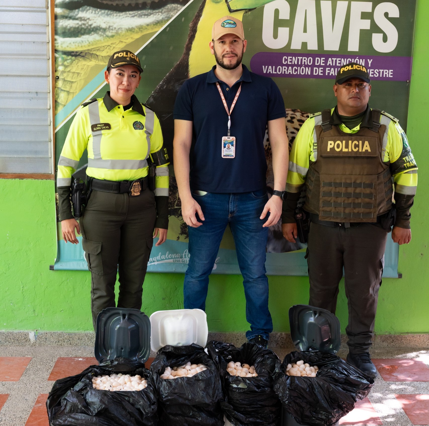 Funcionario de Corpamag junto a dos miembros de la Policia mostrando bolsas de huevos de iguana